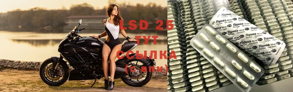 прущие крисы Приозерск
