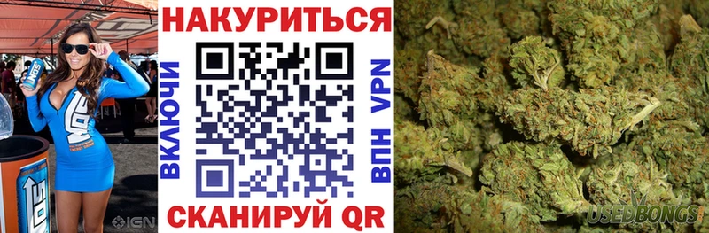 Конопля Bruce Banner  ОМГ ОМГ онион  Приозерск  цена наркотик 